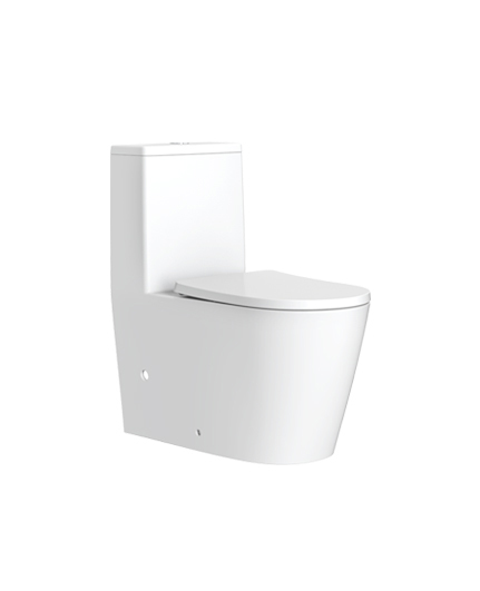 坐便器 AB11028